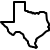 Texas state icon
